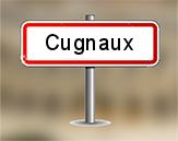 Diagnostiqueur Cugnaux