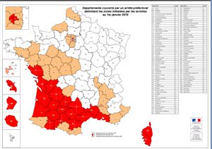 Carte infestation termites HAUTE GARONNE